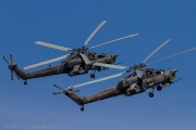 260IMG_3483