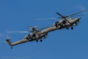 260IMG_3503