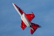 361IMG_1455