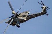 490IMG_3015