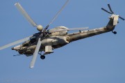 490IMG_3016