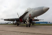 540IMG_9240