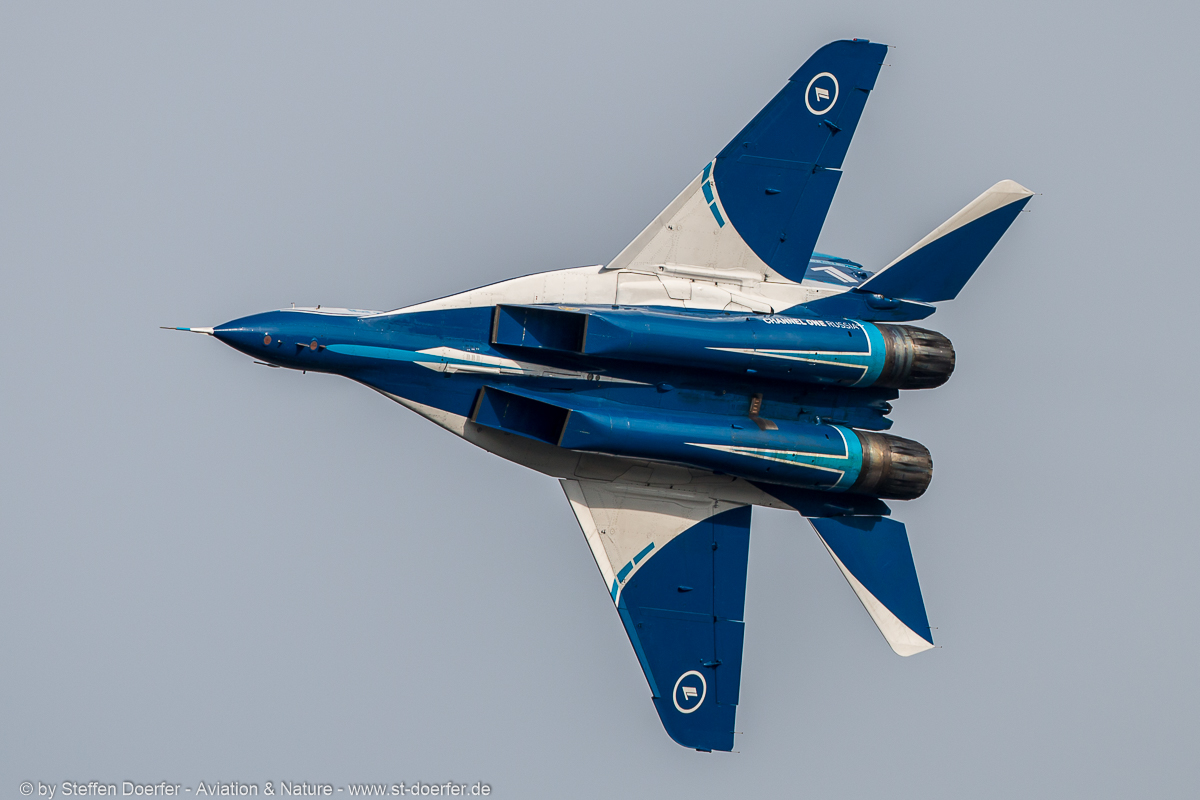 255IMG_8955