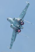 220IMG_8348