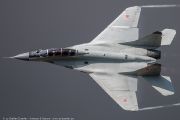250IMG_9775