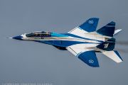 255IMG_9993