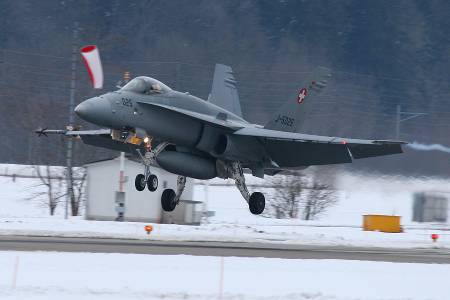 fa18IMG_9742