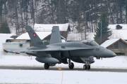 fa18IMG_9501