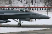 fa18IMG_9507