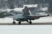 fa18IMG_9649