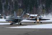 fa18IMG_9766
