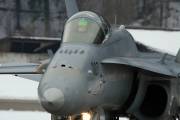 fa18IMG_9826