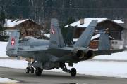fa18IMG_9990