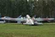 41IMG_8073