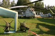 hu1IMG_7896