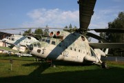 hu1IMG_7907