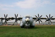 t1IMG_7981