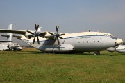 t1IMG_7998