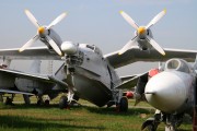 t3IMG_7962