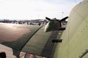 294IMG_4390