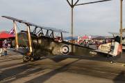 310IMG_4780