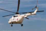 623IMG_5498