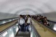 950IMG_6417