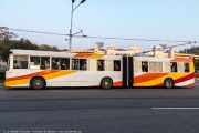 961IMG_6524