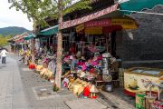 981IMG_6677