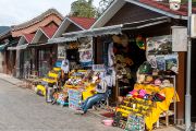 981IMG_6678