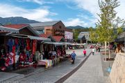 981IMG_6679
