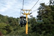 981IMG_6706