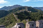 984IMG_6782