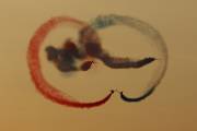 27IMG_4588