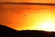 28IMG_4603