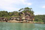 800IMG_5287