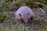 180IMG_3488