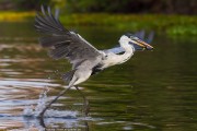 200IMG_3637