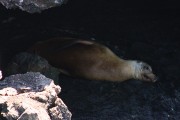 233IMG_0677