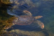 234IMG_0682