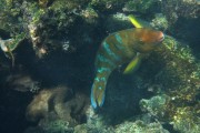 235IMG_0832