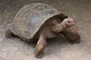 243IMG_0912