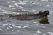 271IMG_2667