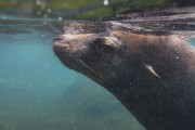 455IMG_3917