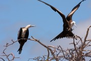 590IMG_4525
