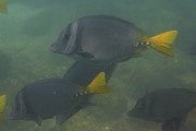 595IMG_4809