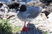 624IMG_1920