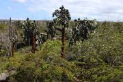 819IMG_1191