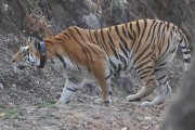 110IMG_5124