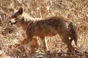 120IMG_5430